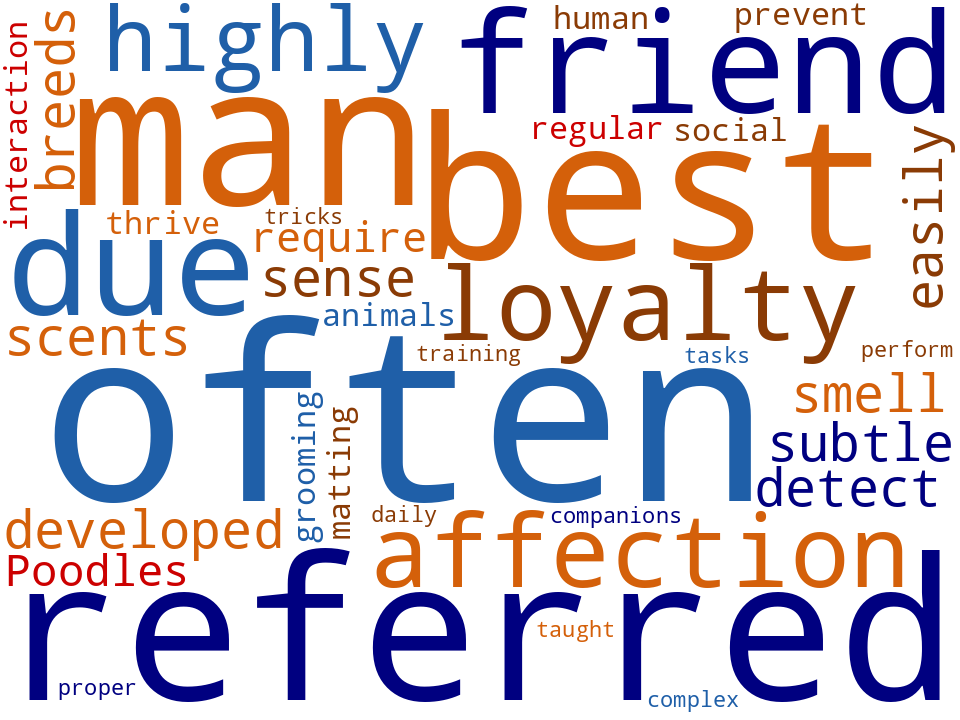 Word cloud of the keywords in Dog
