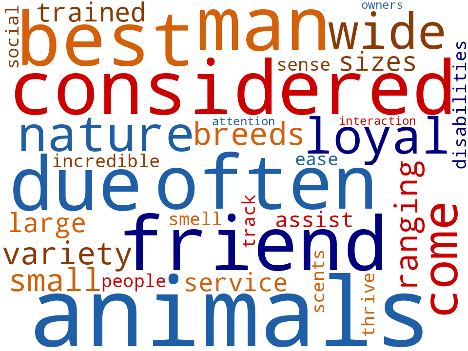 Word cloud of the keywords in Dogs