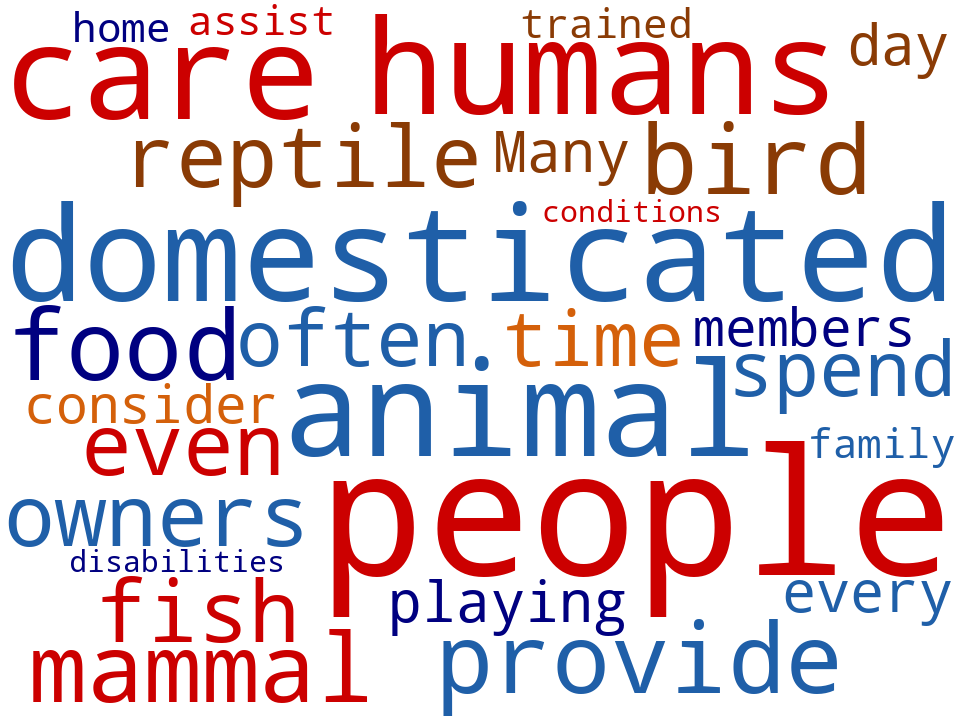 Word cloud of the keywords in Pet