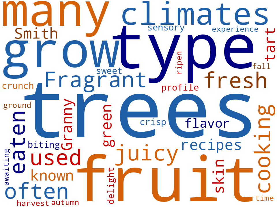 Word cloud of the keywords in Apples